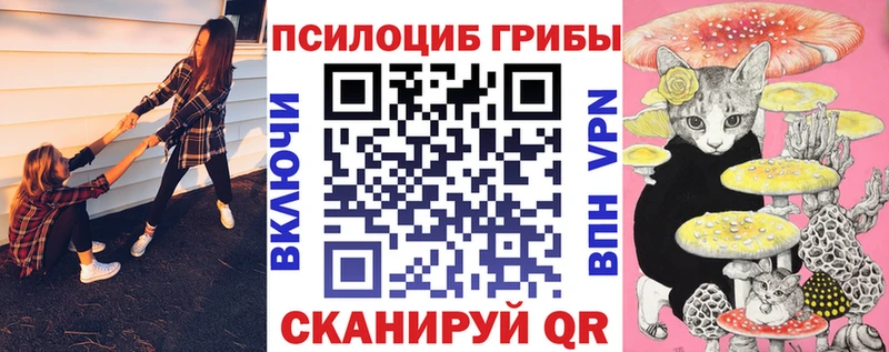 Галлюциногенные грибы Psilocybine cubensis  Севск 